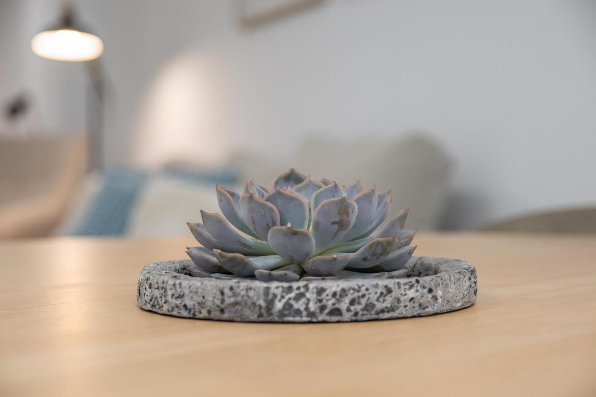 Cid 90 Flat By Concept Lägenhet Valencia Exteriör bild